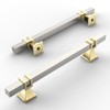 Amerdeco 10 Pack Brushed Satin Nickel and Gold Cabinet Pulls