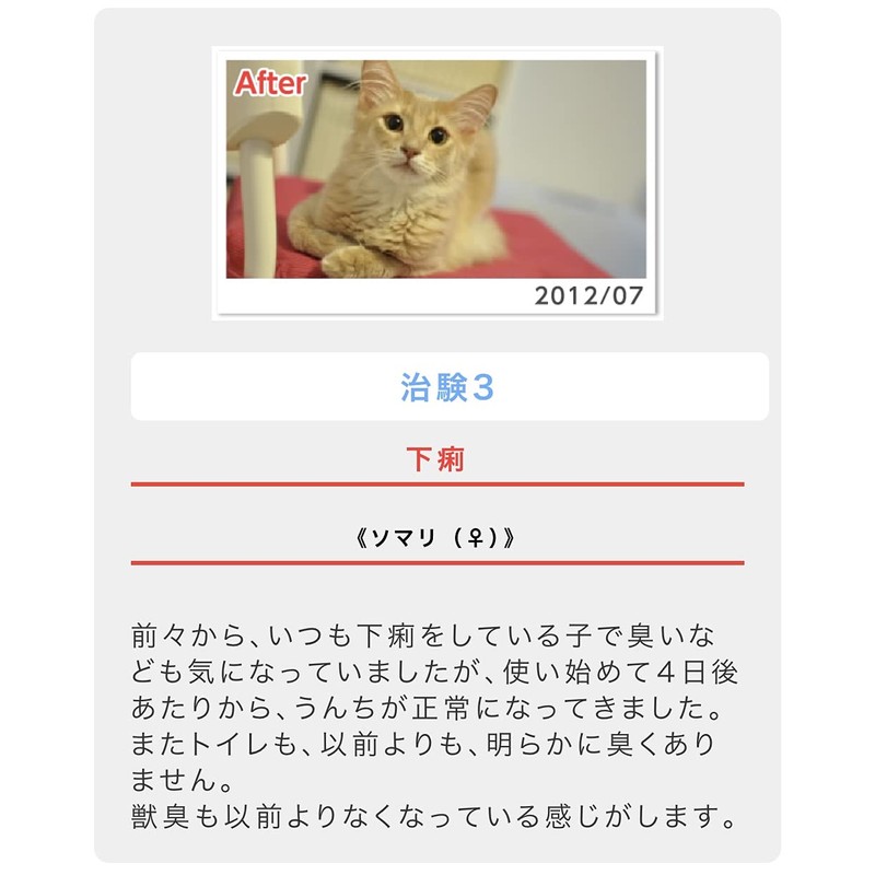 For Cat Eye Resin, Skin Disease, Allergies and Kidney Support,