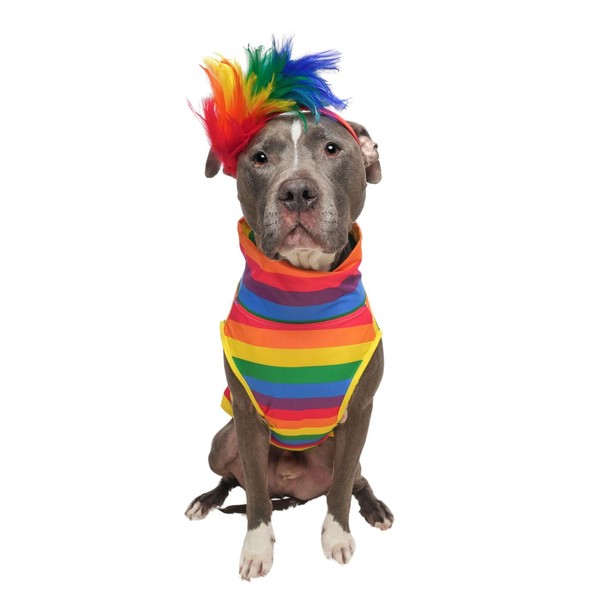 Pittie Clothing Pit Bull Muscle Tee for Dog Breed Dog