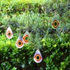 cainda 10 Pack Horrible Predator Eye to Scare Birds Away,
