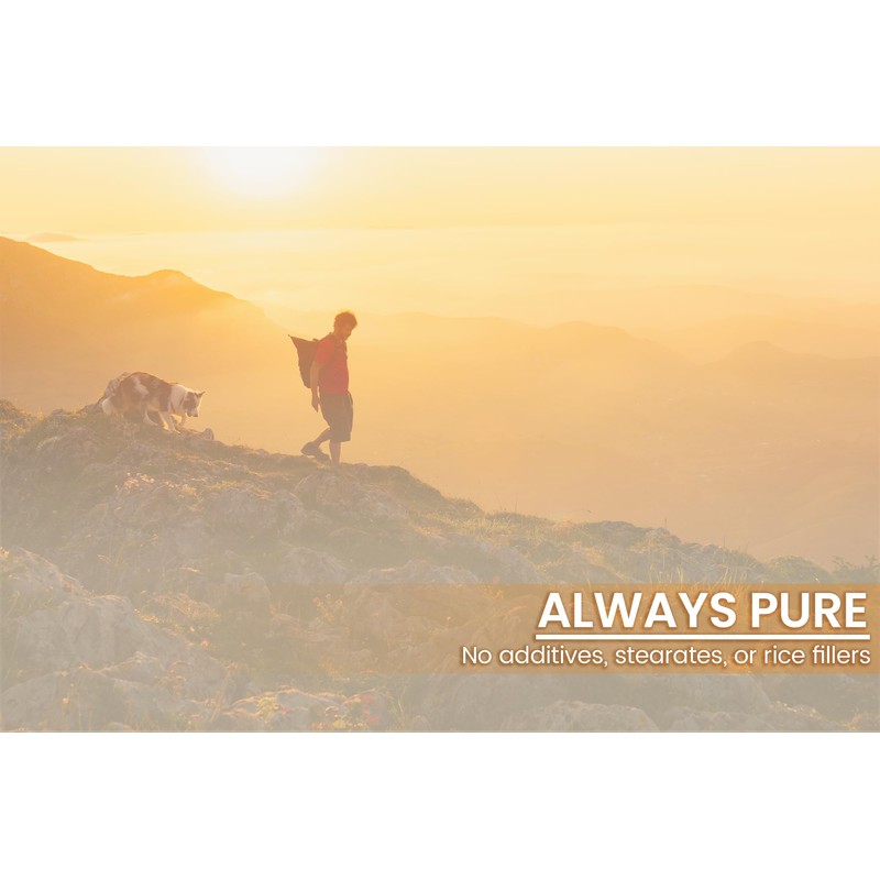 PURE ORIGINAL INGREDIENTS Irvingia, (100 Capsules) Always Pure, No Additives