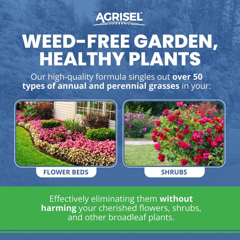 Agrisel GrassOut Max Weed Killer, Targets 50+ Grassy Weeds Without