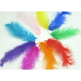 TBUY ROSE 3.5-6 inch 9-15cm Colorful Ostrich Feathers for DIY Dream Catchers Crafts Bulk Feathers Assorted Colors Home Decoration DIY Craft, 500 Pack, 10 Colors