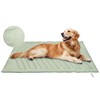 UIQELYS Kühlmatte für Hunde Eisgrün,91x58cm ohne Gel Kühlkissen für Hund,