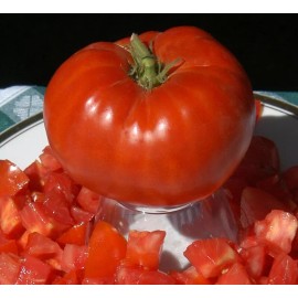 Southeast Seeds Delicious Tomato Seeds, NON-GMO, World Record Beefsteak, Heirloom, FREE SHIPPING - 250 Seeds