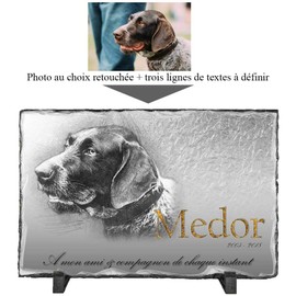 [Customisable: Photo and Text] Grave Plaque for Your Dog 30/20 cm