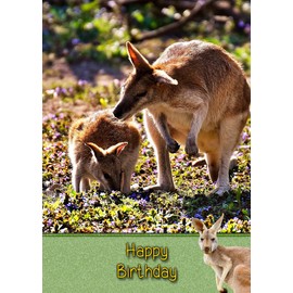 Kangaroo Birthday Card