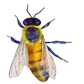 CafePress Bee Medium Tote Bag Polyester Tote Bag 16"x16"