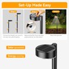 Ahaorigin 12 Pack Solar Pathway Lights Outdoor, 12 Brighter LED