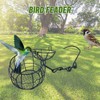 8 Pcs Suet Bird Feeders for Outside Hanging, Metal Wild