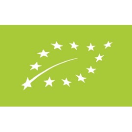 Ginkgo Biloba Organic Extract / 50 ml / Supports Cognitive Functions / Supports the Brain