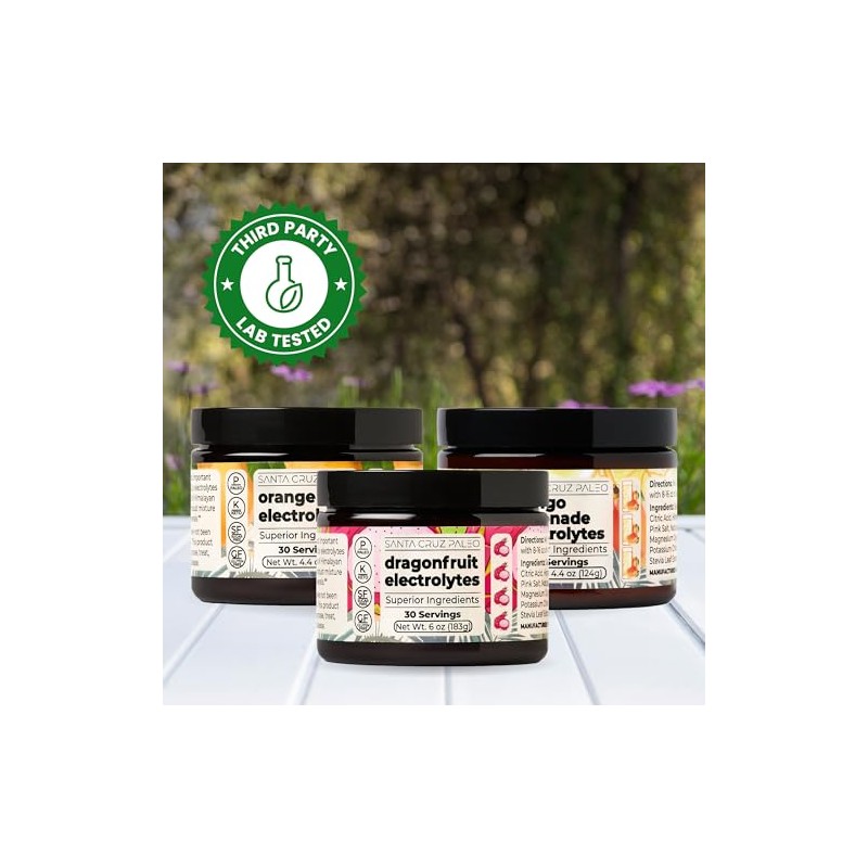 Real Salt Electrolytes - Santa Cruz Paleo - 30 Servings