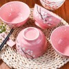 Fignner Japanese Style Ceramic Rice Bowls, Pink Cherry Blossom Design,