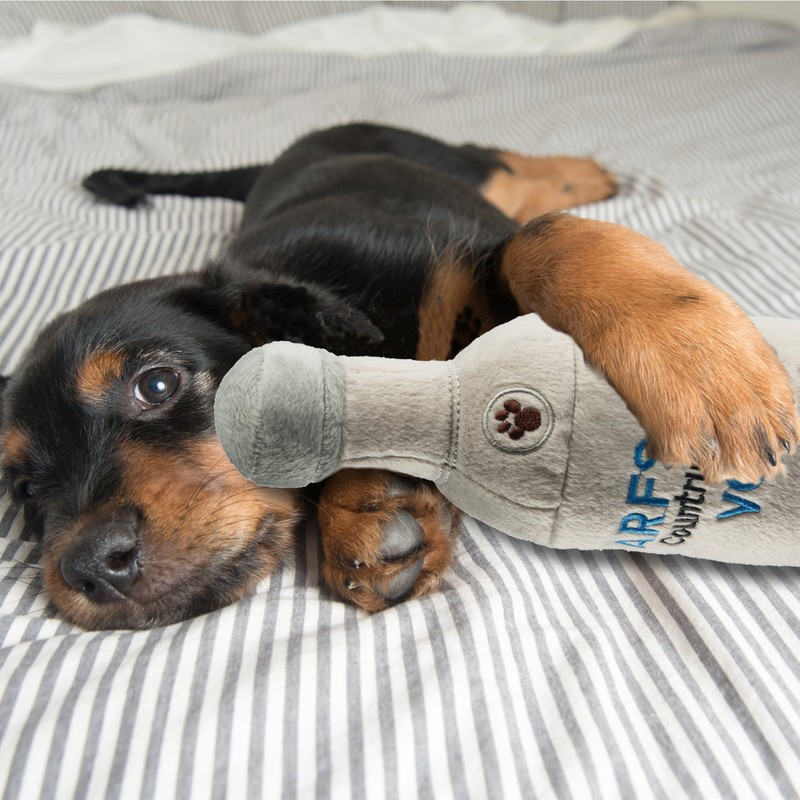 Grrrona Mexican Beer Plush Toy Large