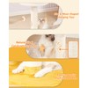 Happi N Pets Cloud Cat Tree, Cat Scratching Post with