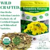 Gabio Green-Tronadora Retama, 16 oz/ 1 pound gr Premium Quality