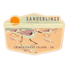Die Cut Sticker Chincoteague Island, Virginia, Shorebirds at Sunset, Sanderlings, Birds, Contour Vinyl Sticker 3 to 6 inches, (Waterproof Decal for Cars, Water Bottles, Laptops, Coolers), Large
