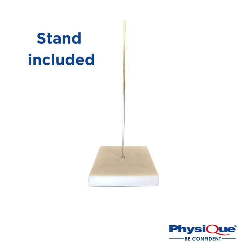 PHYSIQUE Mini Human Skeleton Model - Human Body Skeleton, Perfect