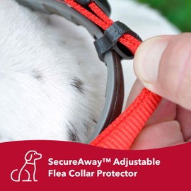 Coastal Pet SecureAway Flea Collar Protectors - Comfortable Dog Collar Accessory - Protective Flea Collar for Dogs - Adjustable Dog & Puppy Flea Collar Protection - Black, 1" x 18-26"
