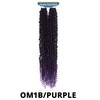 Alitress Passion Twist Braid Hair 22" (1/50, 24 Strands) (OM1B/PURPLE)