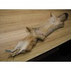 Tanned Grey Fox Hide # 2 Quality Fur