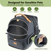Morpilot Expandable Cat Carrier Backpack for Small Dogs & Cats