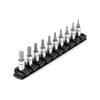 TEKTON 1/4 in Drive Hex Bit Socket Set with Rail,