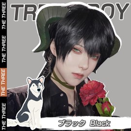 Hawkko Men's Short Wig, Full Wig, Long Straight Wig, Men's Wig, Black, Men's Wolf Cut, Wig, Men's, Harajuku, Handsome, Men's, Natural, Small Face, Heat Resistant, Popular, Fashion, Imechan, Cosplay,