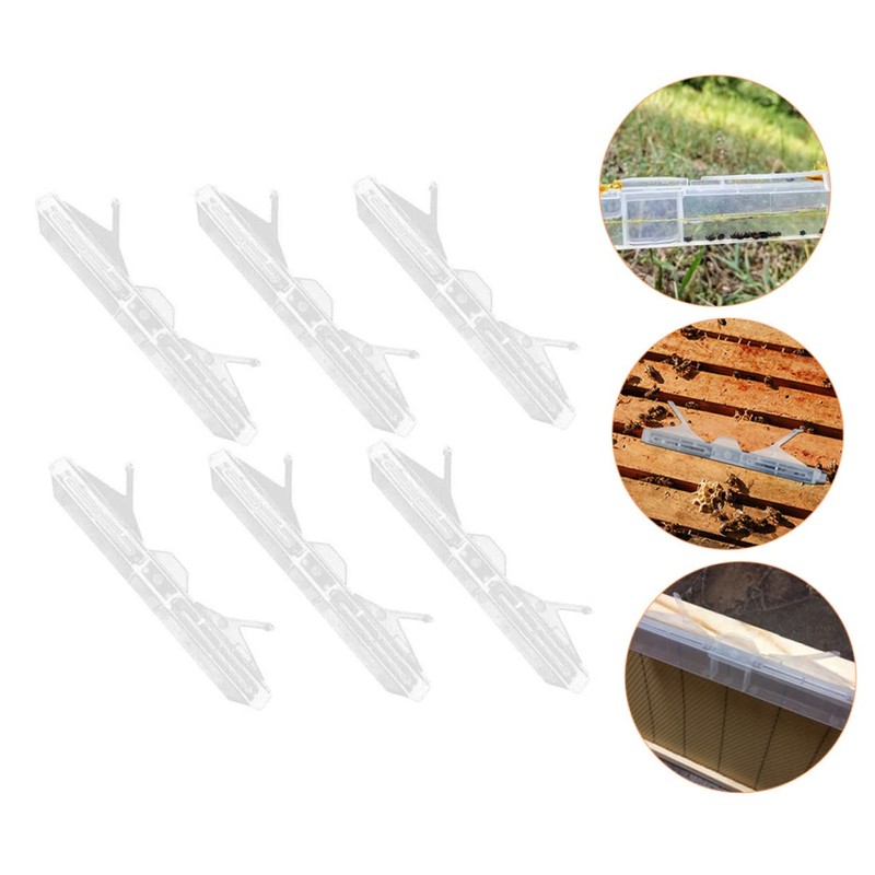 CIYODO 6pcs Clear Reusable Hive Beetle Traps Baitable Beetle Collecting
