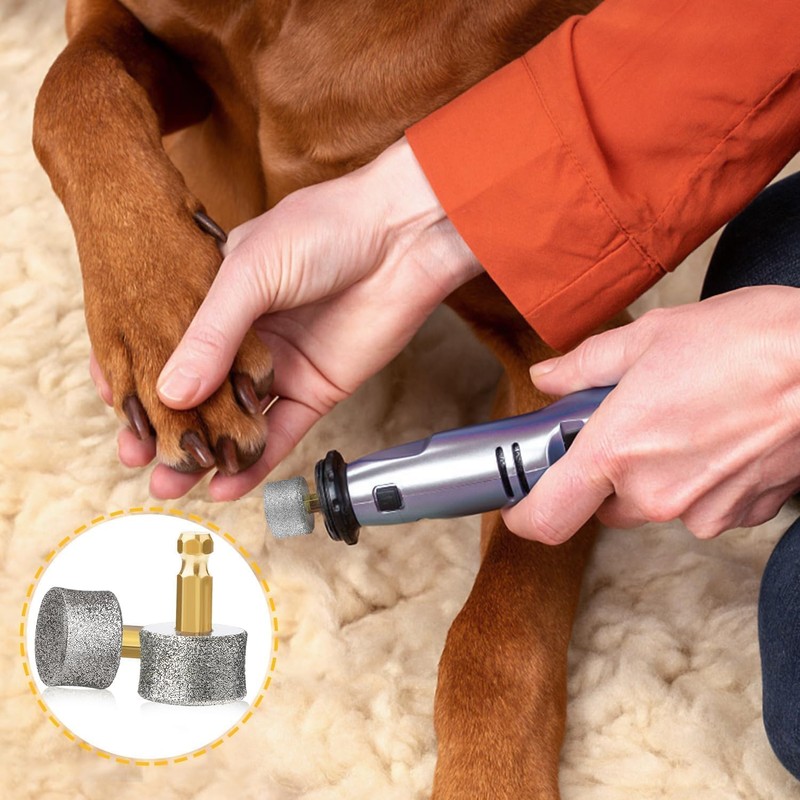 Pet Nail Grinder Diamond Tip Drill Bit Pet Nail Spare