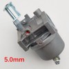 Canyoyi Carburetor Carb for 1P56F 1P52F P15Q-2 P15Q-3 P15Q-4 79-96CC