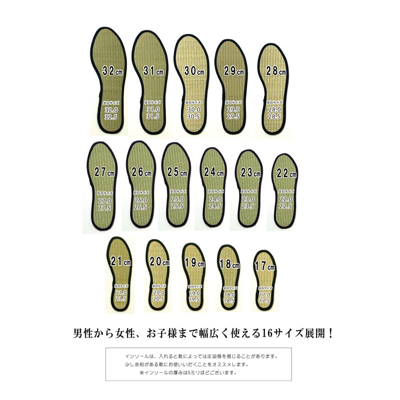 Ikehiko Corporation 4956642731351 Insole, Made with Rush Insole, Navy, 10.2