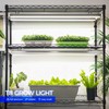 Barrina Grow Lights for Indoor Plants, 3FT 5000K Daylight White
