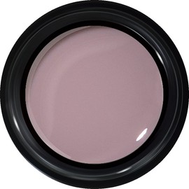 PREANFA GEL Color Gel Color EX Silky Skin 0.1 oz (3 g) PG-CE927 UV/LED Compatible