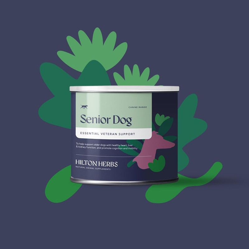 Hilton Herbs Senior Dog Natural Supplement. 100% Natural Ingredients. Supplement