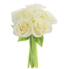KaBloom PRIME NEXT DAY DELIVERY - Fall Collection - Graceful White Roses (Half Dozen) - Without Vase|Gift for Birthday, Anniversary, Get Well, Thank You, Valentine, Mother’s Day Fresh Flowers