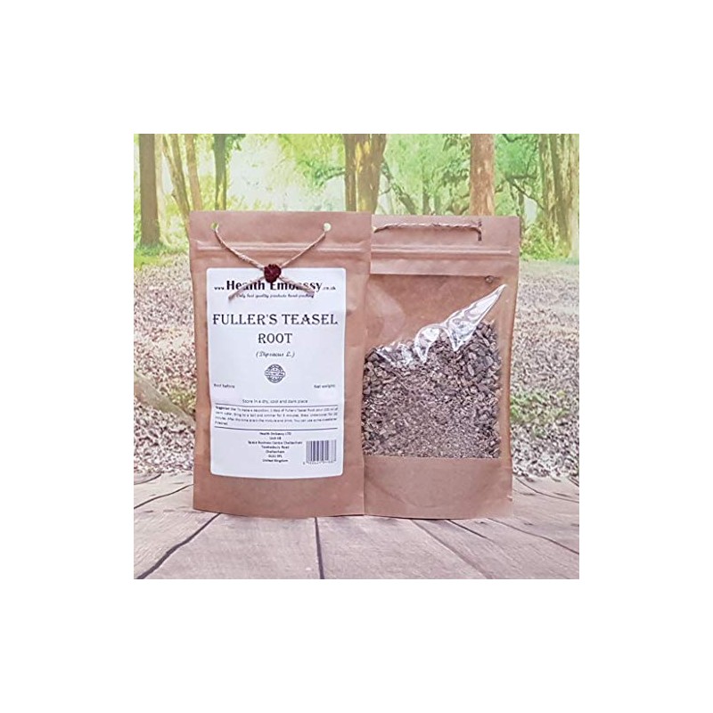 Health Embassy Fuller's Teasel Root (Dipsacus L.) (100g)