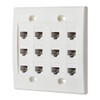 IBL - Cat6 Keystone Ethernet Wall Plate Female to Female