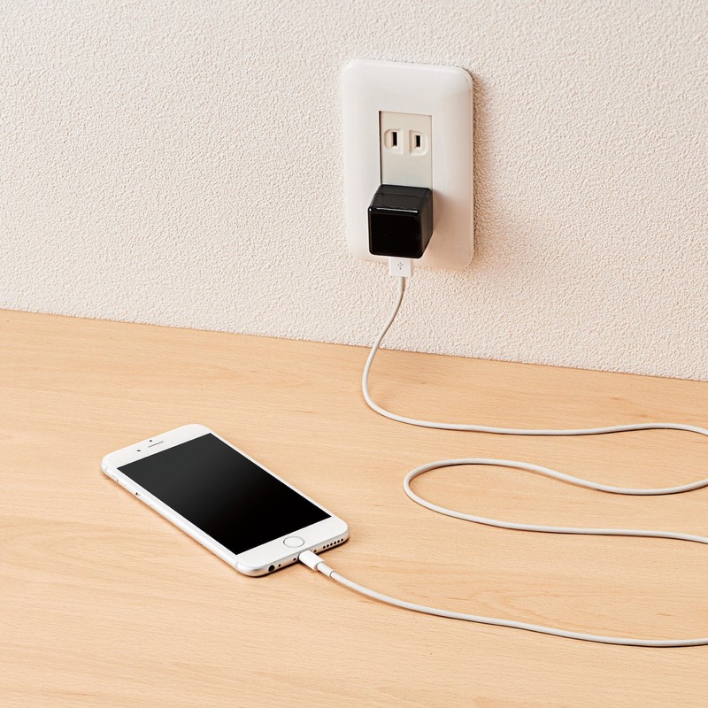 Elecom Audio AC Charger/CUBE/1A Output/USB1P/Black