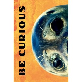 Be Curious- Seal Face: Funny Motivational Journal For Job& Life- The Perfect Inspirational Gift Notebook