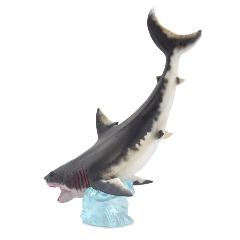 HAOLONGGOOD Otodus Megalodon