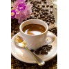 Olde World Coffee Company 2025 "Espresso" Fresh Roasted espresso coffee