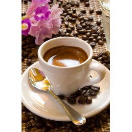 Olde World Coffee Company 2025 "Espresso"   Fresh Roasted espresso coffee beans    24 ozs  "Free Shipping"