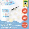 CHILEES はぐグミ ヨーグルト味 歯医者専用 キシリトール100% グミ 砂糖不使用 ダイエットお菓子 こども ヨーグルト味