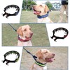 No Pull Dog Collar, Prong Collar for Small Medium Large