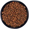 SLEEK & SASSY in-Shell Pine Nuts for Birds (32 oz.)