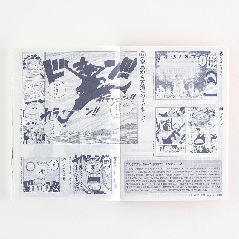 Almost Daily Notebook, 2025 Original (A6) One Piece, Japanese [A6/1