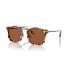 Coach HC8382 Sunglasses, Honey Tortoise/Brown Solid, 53 mm