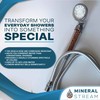 MineralStream LED Ionic Shower Head with Hose | High Pressure