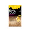 Garnier Garnier Olia Permanent Hair Dye, Ammonia-Free Hair Color, 9.0
